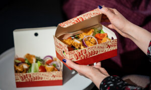 eco friendly food packaging takeaway chicken boxes