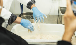 recipe for coated chicken pieces