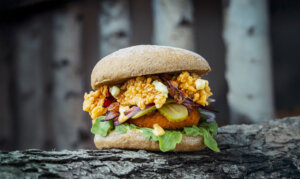 Chicken dish idea Chicken dish idea - Holly Powder