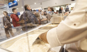 Holly Powder at the EuroGastro Trade Show, 2025